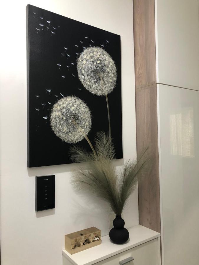 Miio Studio Năvodari 외부 사진